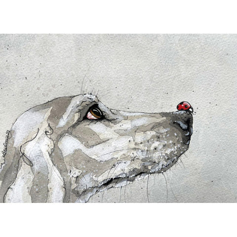 Bev Davies, Ladybird (On Dog's Nose), Blank Art Card