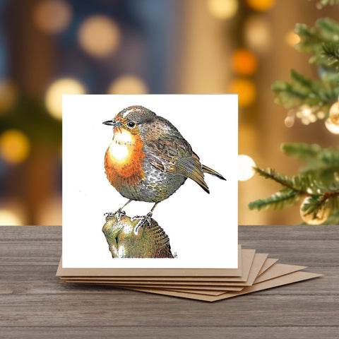 Kevin Cook, Attentive Robin, Note card