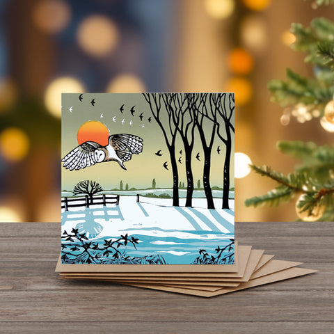 Rob Barnes, Barn Owl In Winter, Note card