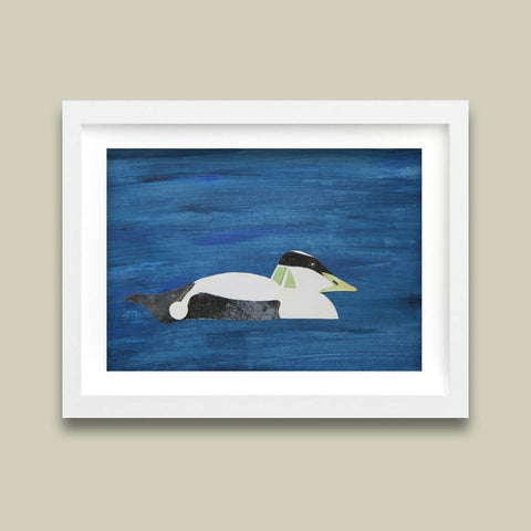 Eider Duck - Painted Collage