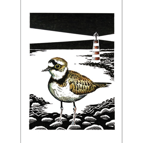 Kevin Cook, Little-Ringed Plover With Lighthouse, Fine Art Greeting card