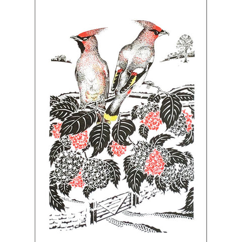 Kevin Cook, Waxwings and Red Berries, Fine Art Greeting Card