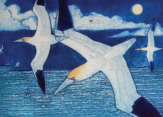 Laurie Rudling, Gannets Over The Northern Seas, Fine Art Greeting Card