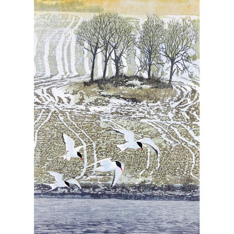 Mike Smith, Arctic Terns, Art Card
