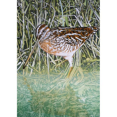 Mike Smith, Common Snipe, Fine Art Greeting Card