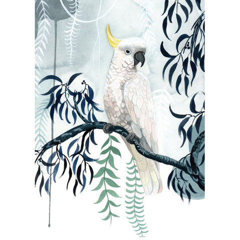 Sally Browne, Sulphur-Crested Cockatoo Rain (Australia) , Blank Greeting Card
