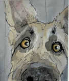 Nosey Dog - Mounted Original Painting