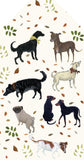 TAG DN0 05 - Dogs - Set of 5 gift tags