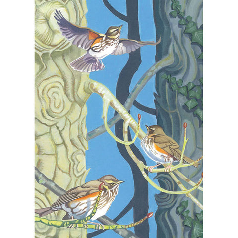 Teresa Rogers,  Vikings (Birds), Blank Art Card