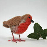 Robin 3