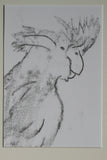 Black Cockatoo - Monoprint