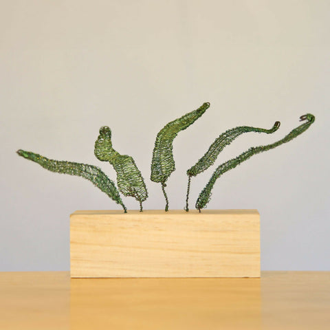 Fern Series (4) - Steel