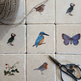 Marble Coaster - Puffin