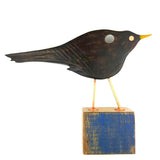 Cheeky blackbird Searching main 1024