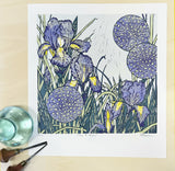 Irises and Alliums 4