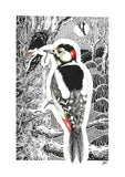 Lesser Spotted Woodpecker Print - Hand Drawn Ink Line and Crayon