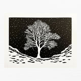 Snowy-Gap-final