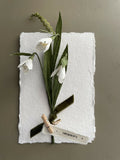 Snowdrops - Paper Sculpture
