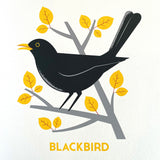 CA-Blackbird-2