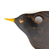 Cheeky blackbird Searching close up 2
