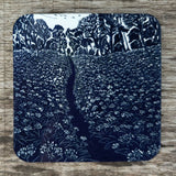Woodland Walk Coasters - Set of 2