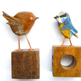 Fat Robin Calling 1024