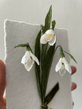 Snowdrops - Paper Sculpture
