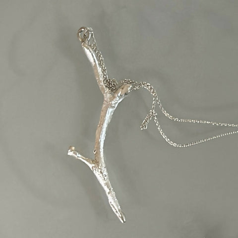 Branch