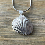 Clam-Shell