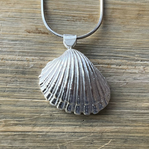Clam-Shell