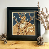 Song Thrush - Framed Giclee Print