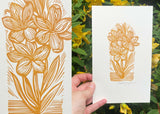 Susie Hetherington_June_0010_Layer 1