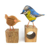 Blue tit wren 3 jpg 1024
