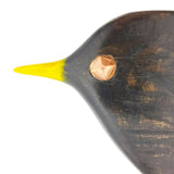 Cheeky Blackbird Loooking  1024