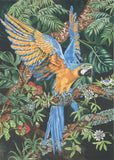 Blue and Yellow Macaw - Lithographic Print