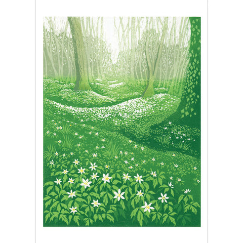 Beth Knight, Wood Anemones, Fine Art Greeting Card