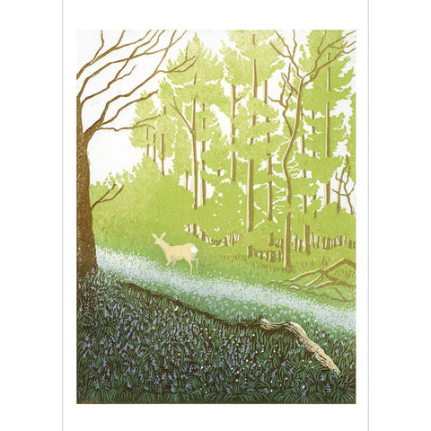 Beth Knight, Deer In The Bluebell Woods, Fine Art Greeting Card