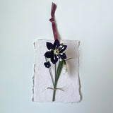 Winter Posy - Paper Sculpture