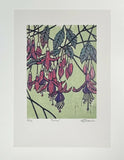 Fuchsia 4