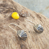 Silver Limpet Shell Earrings - Wires