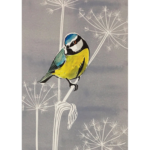 Celia Lewis, Blue Tit On Cow Parsley, Fine Art Greeting Card