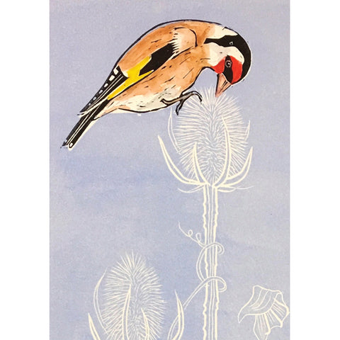 Celia Lewis, Goldfinch On Teasel, Fine Art Greeting Card