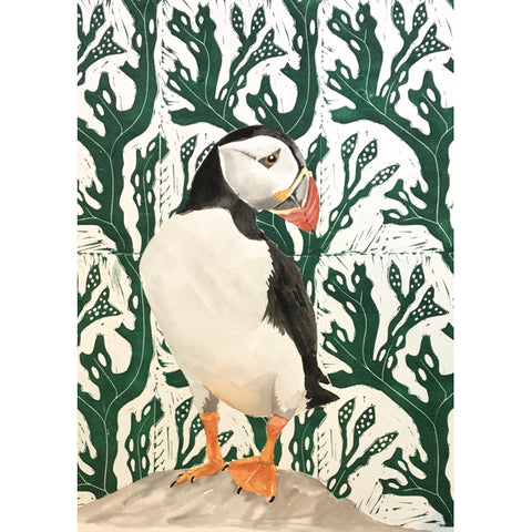 Puffin