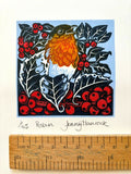 WERobin1lowres