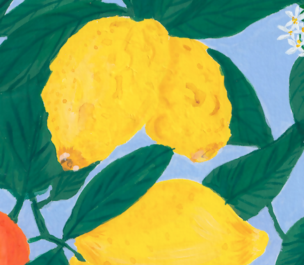 Citrus Collection Oranges and Lemons Horizontal Fine Art Print