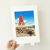 Herd Groyne gp