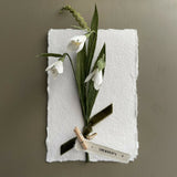 Snowdrops - Paper Sculpture