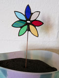 Multicoloured Flower Spikes - Stained Glass