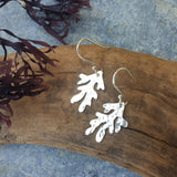 Silver Seaweed Earrings
