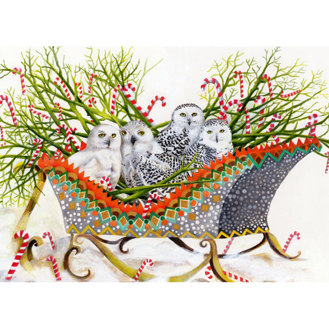 Three snowy owls in a decorated sleigh with candy canes and branches on a white background. A fine art greeting card by painter E B Watts.